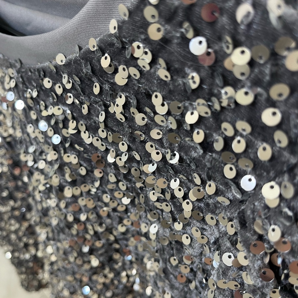 Sequin Embellished Velvet Silver/Gray short sleeve Boxy Gray Top size Medium - Picture 3 of 5